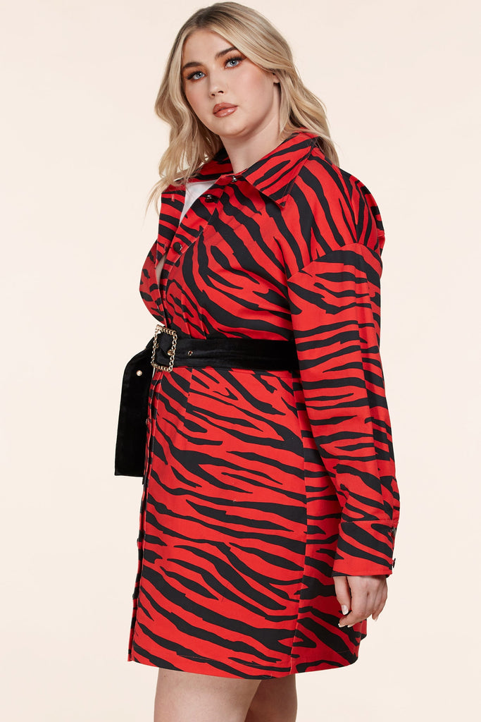 red zebra print dress